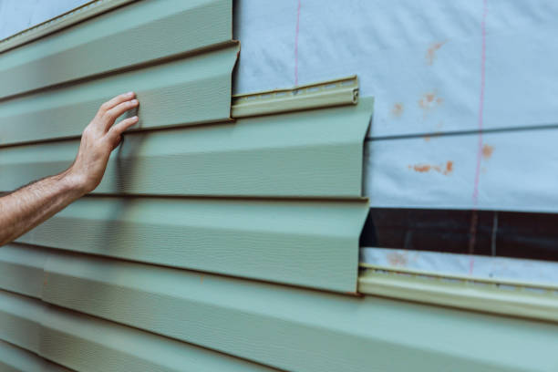 Best Siding Painting and Refinishing  in Shawneetown, IL